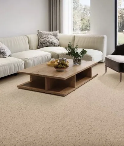 Mohawk Everstrand Residential /
Collection: Mineral Effects /
Color: White Oak /
(Available in 14 other colors! /
Click on picture above to see additional colors!