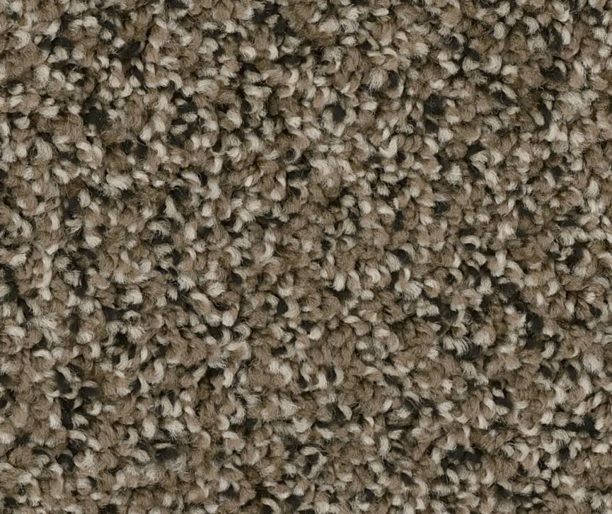 Dreamweaver Residential Carpet / Collection: West Brow / Color: Magnetite / (Available in 19 additional colors!) / Click on picture above to see additional colors!
