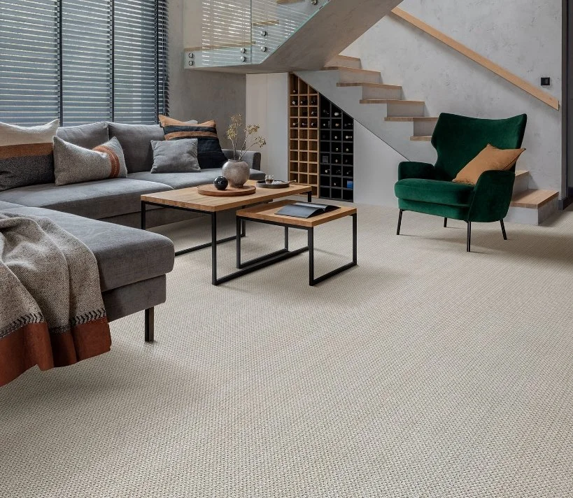 Dreamweaver Residential Carpet / Collection: Montreal II / Color: La Casa / (Available in 11 other colors!) / Click on picture above to see additional colors!