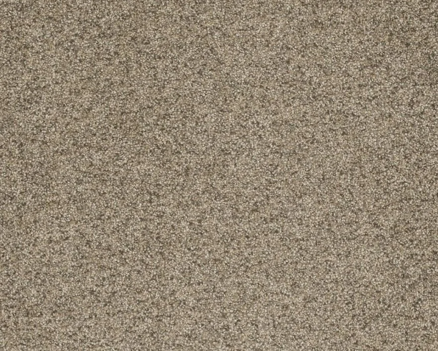 Dreamweaver Residential Carpet / Collection: Astounding III / Color: Fiery Clay / (Available in 16 other colors!) / Click on picture above to see additional colors!