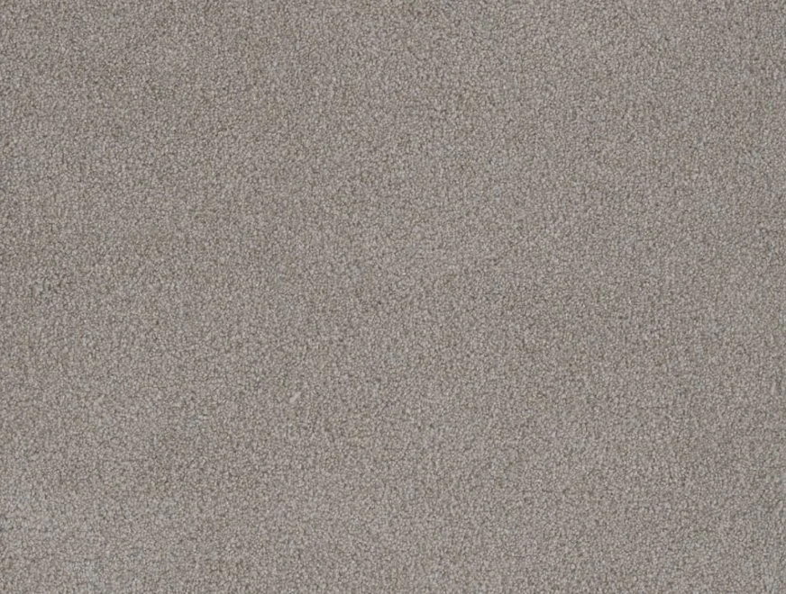 Dreamweaver Residential Carpet / Collection: Palmetto III / Color: Cherry Blossom / (Available in 16 other colors!) / Click on picture above to see additional colors!