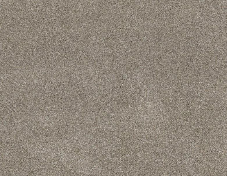 Shaw Floors Residential Carpet / Collection: Good Move II / Color: Winter Dunes / (Also available in 8 other colors!) / Click on picture above to see additional colors! 