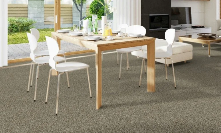Dreamweaver Residential Carpet / Collection: Clearwater III / Color: Toasted Oat / (Available in 19 other colors!) / Click on picture above to see additional colors!