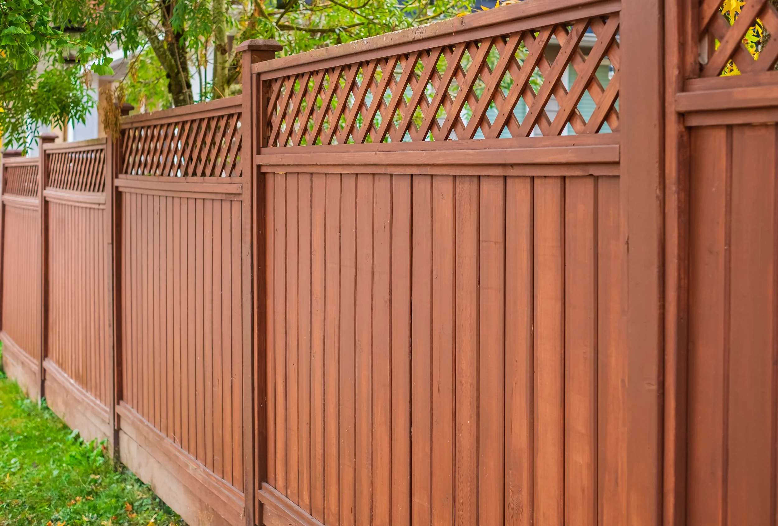 Backyard fence lattice.jpg