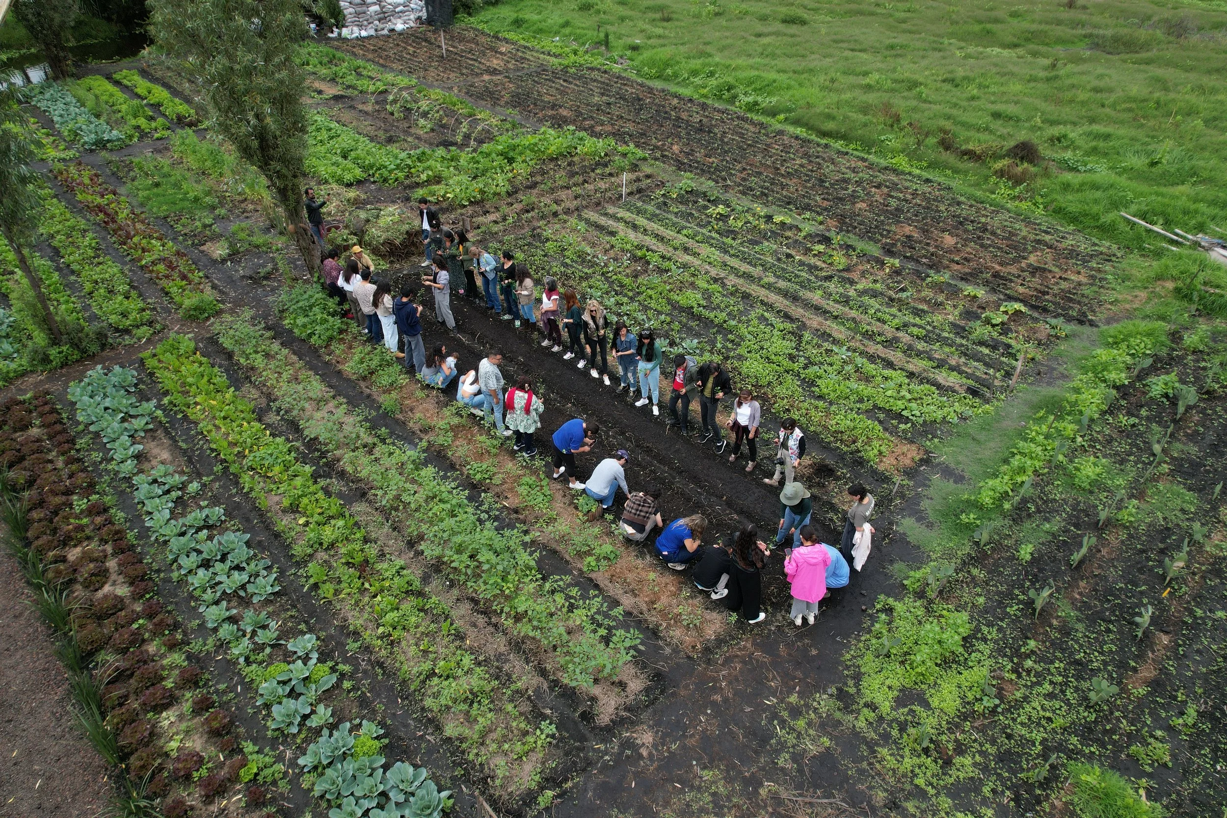 DJI_0028 (1).JPG