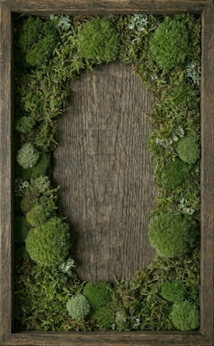 A rectangular wooden frame filled with a central weathered wood panel, bordered by various green succulents and small plants.