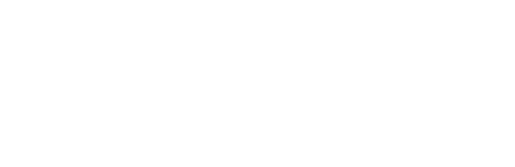 North End Choice Neighborhood Project