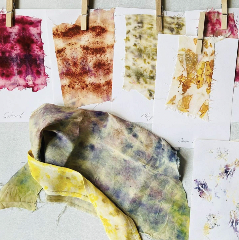 Plant Dye Workshop