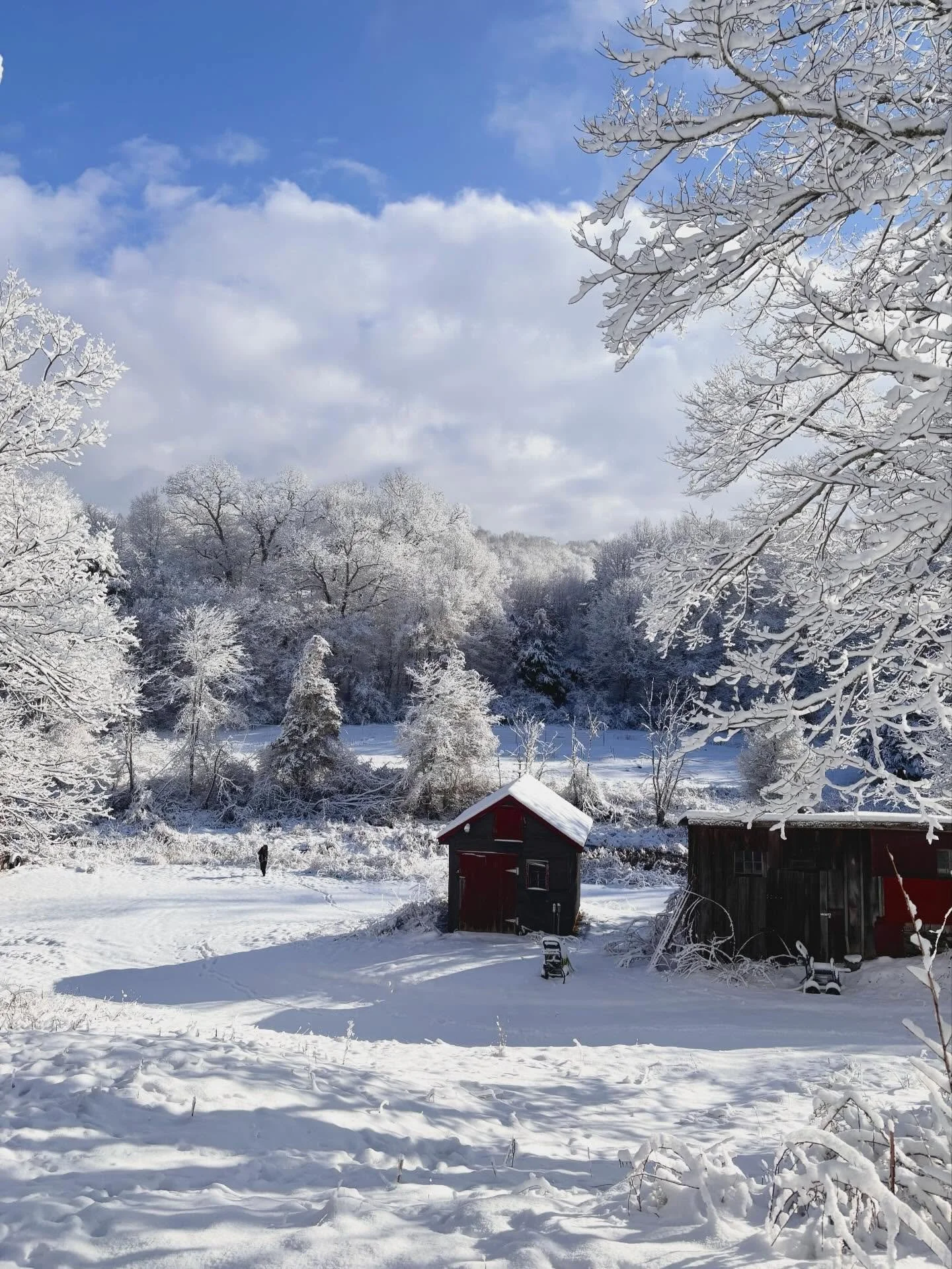 The snow is cute and all&hellip; until the team is outside getting in all their cardio with snow shoveling. Meanwhile, Ceiba has been building INSIDE and behind the scenes. 

In the spirit of honoring the seasons please join us for our upcoming works