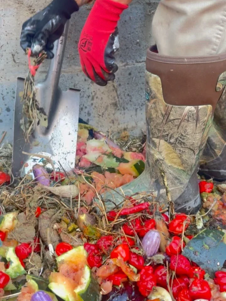 Before we went to rest after the growing season, we chopped up leftover food for our compost system, making sure the soil had nutrients to feed on throughout the winter.

Footage taken in Nov.2025 

#queerfarm #salemct #worms #compost