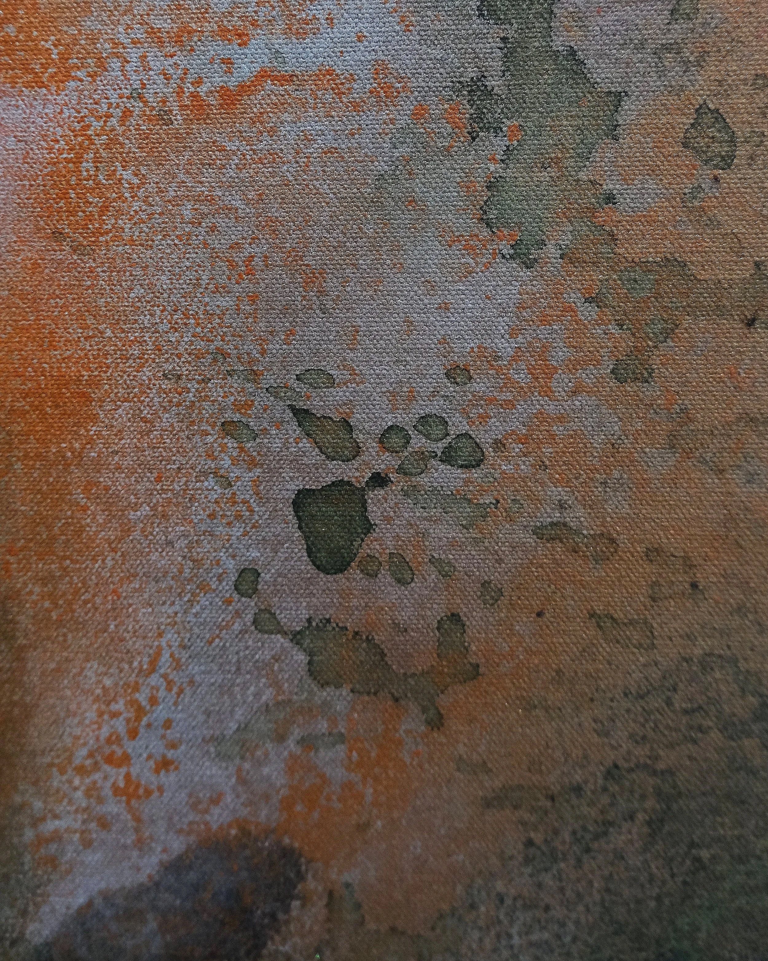DSCF0133.jpg