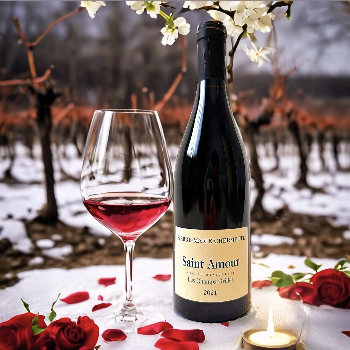 Celebrating love and being in love is very much in the air where Saint-Amour is produced. As well as producing a gentle and multi-faceted red wine, this charming small town celebrates Cupid on every street corner. Chermette&rsquo;s &ldquo;Les Champs-