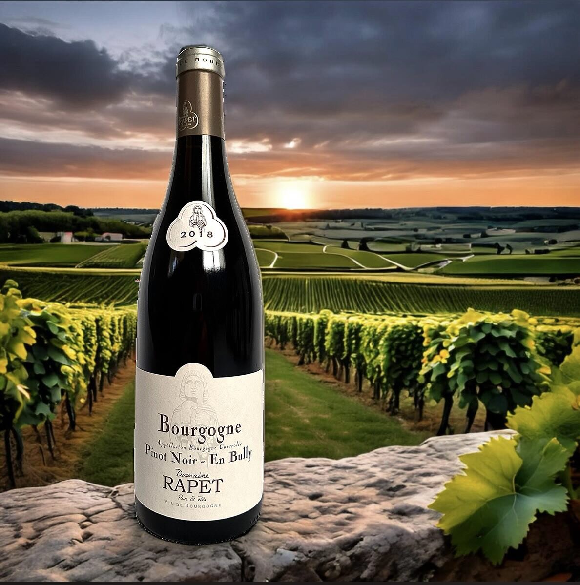 The Rapet Bourgogne Rouge &ldquo;En Bully&rdquo; is from a tiny vineyard high on the back-side of Corton, at an altitude of 350 meters on the slope facing Les Hautes-C&ocirc;tes on the locality named La Grande Corv&eacute;e de Bully. The soils are li