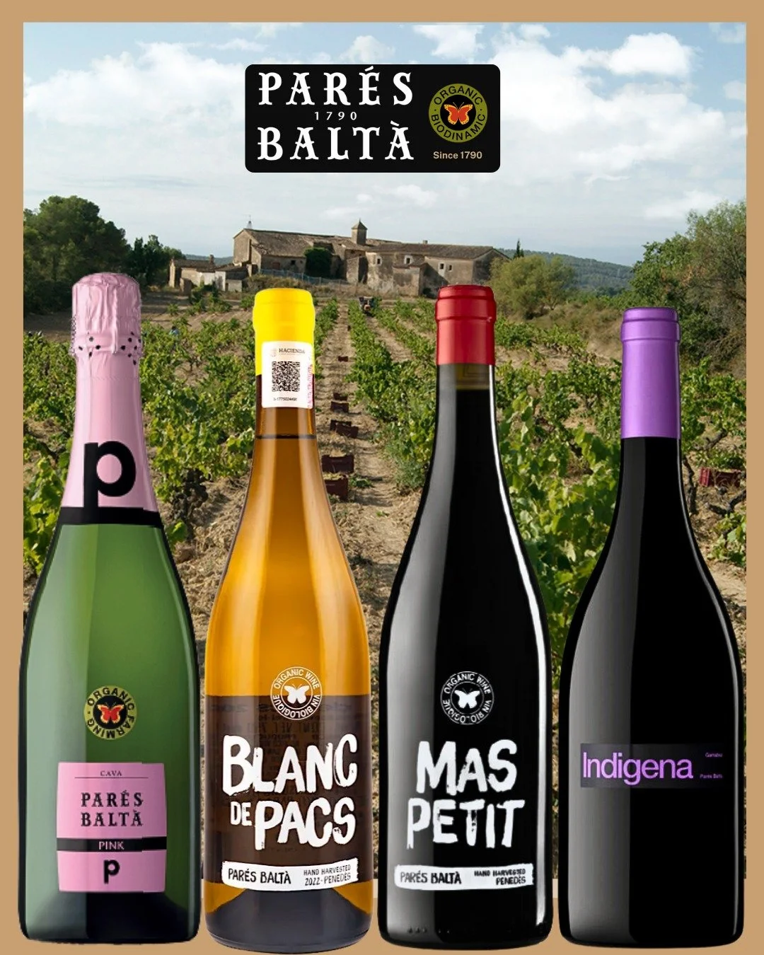 The history of Par&eacute;s Balt&agrave; begins in 1790 when the first vineyards were planted on the estate. An old cava cellar was constructed in the beginning of the twentieth century, stone by stone. Located 10 meters underground with a natural an