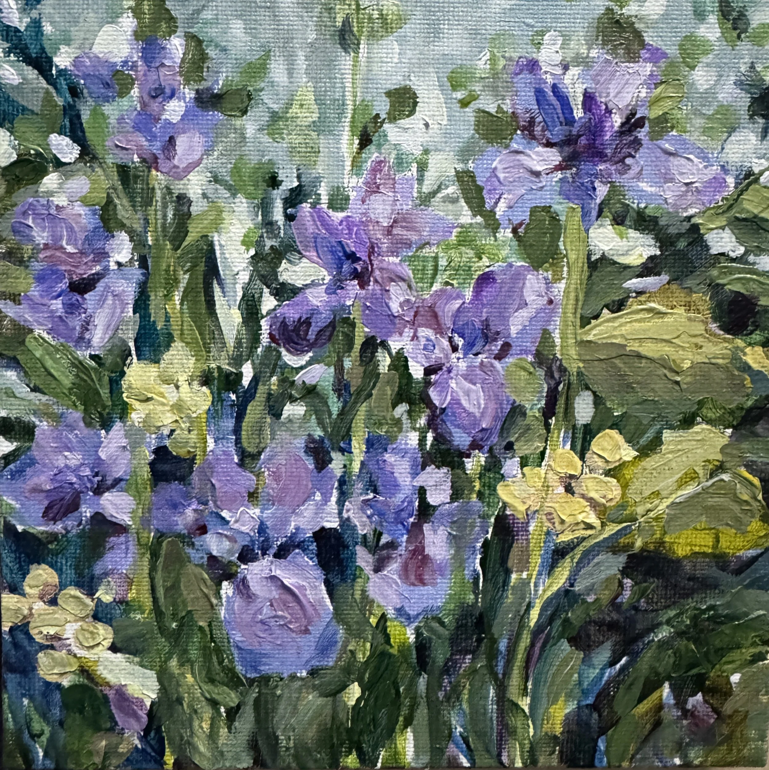 142 IRIS 6X6 ACR CAN 25 75.JPG