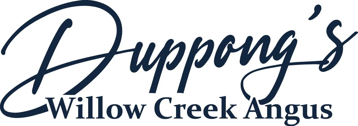 Duppong's Willow Creek Angus