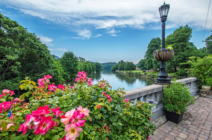 flowering_bridge_in_spring.png