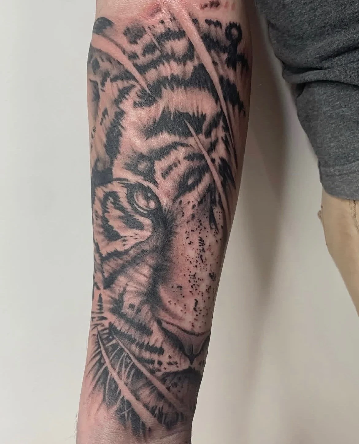 Black and Grey Tiger Tattoo