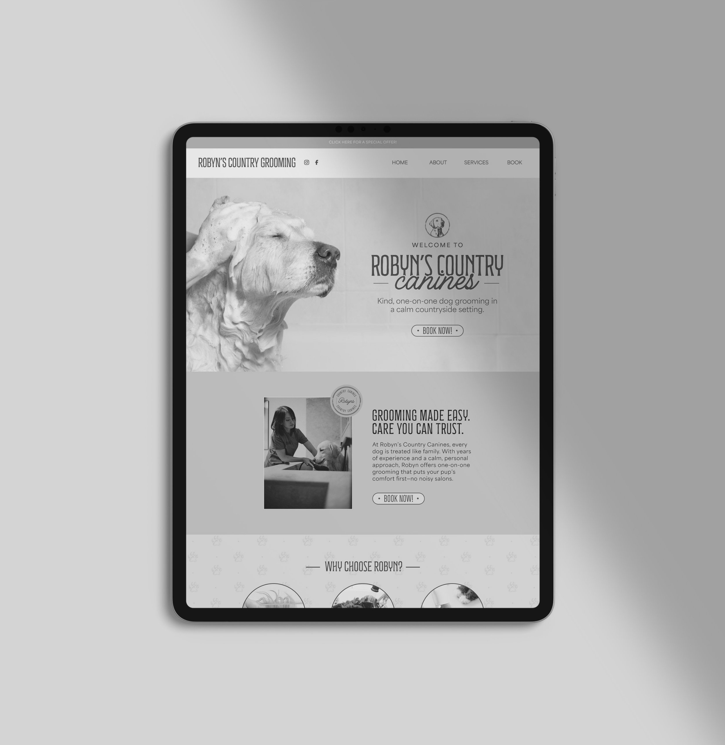 Website homepage for Robyn's Country Canines, a dog grooming service. Brand identity & website design for small businesses