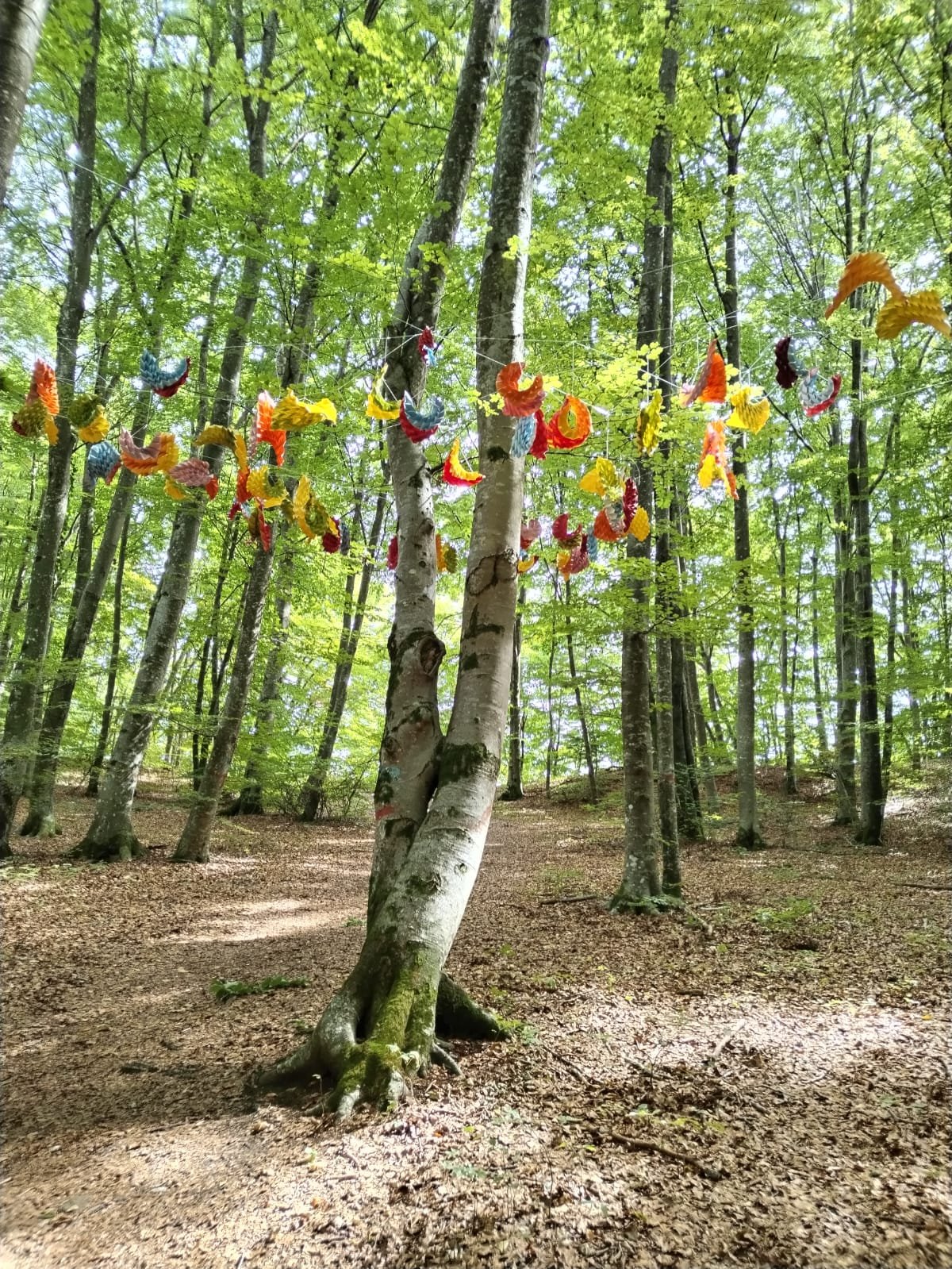 Abbracci in Volo
