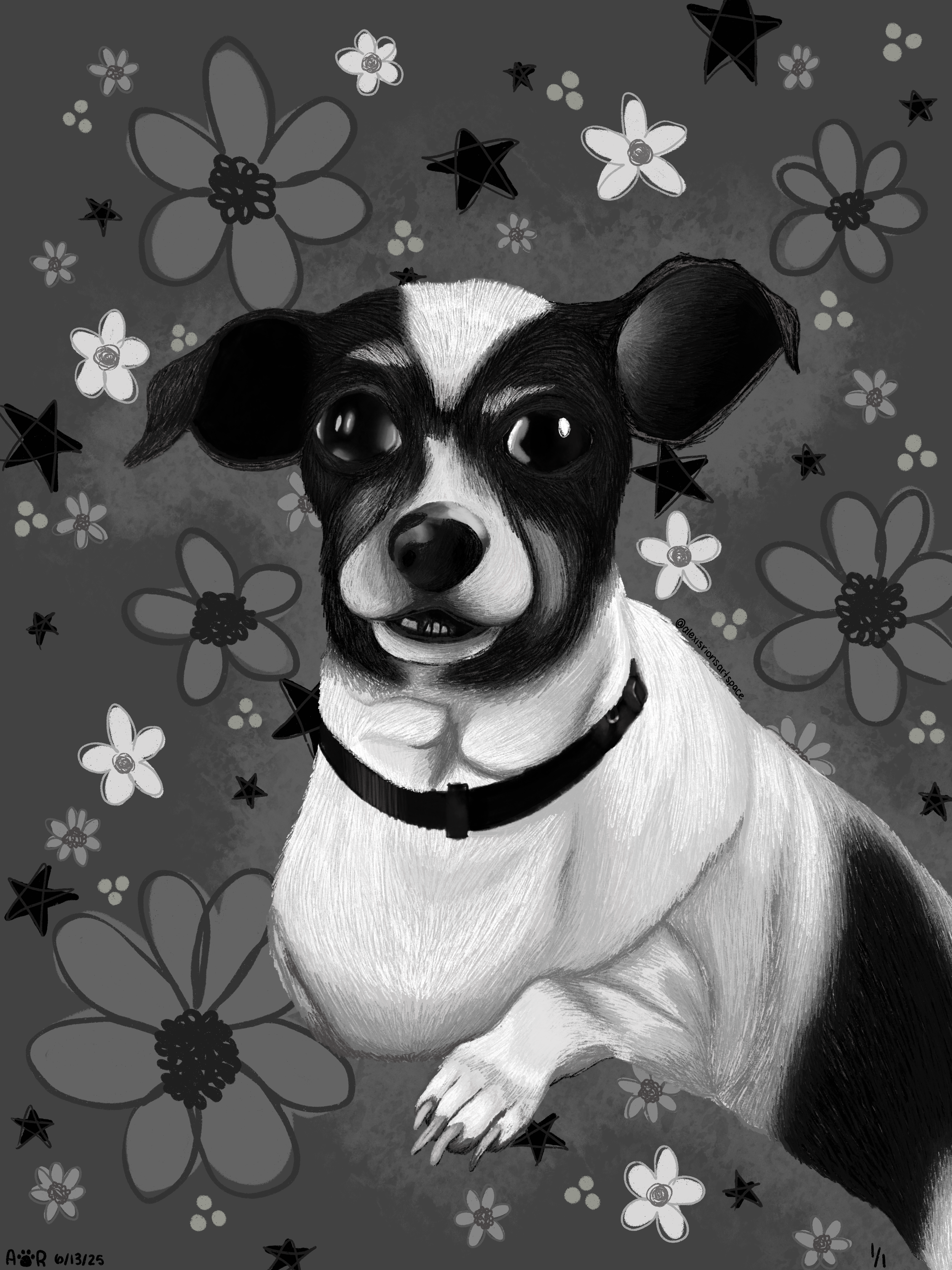 Untitled_Artwork 117.png