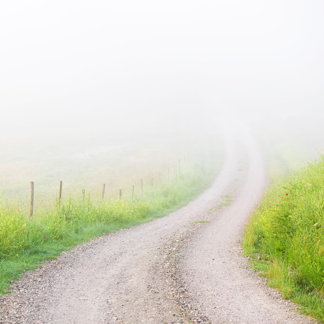 If The Road to Your Year-End Appeal Is Foggy, Take Small Steps