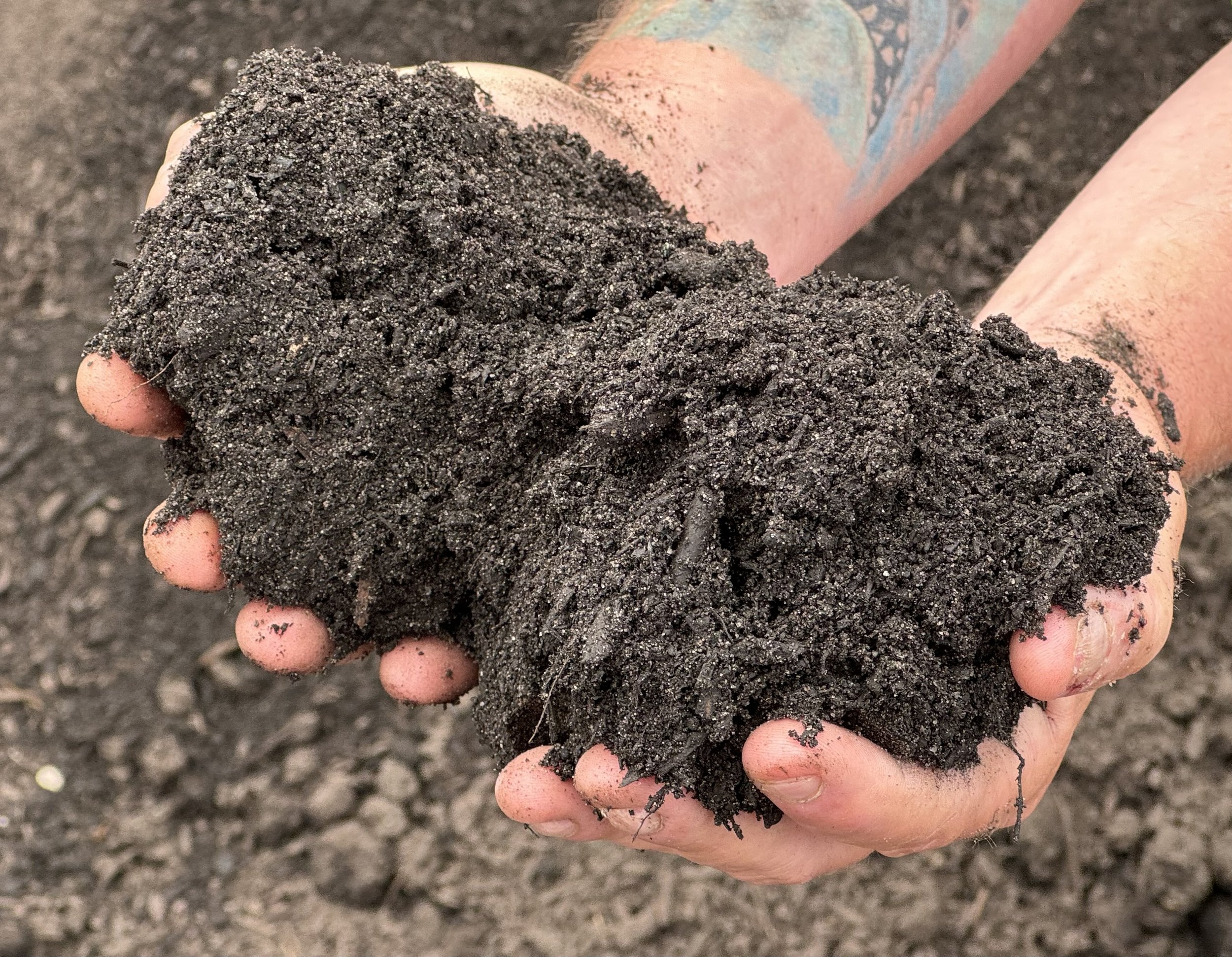 All natural Nantucket Gold compost held in hands