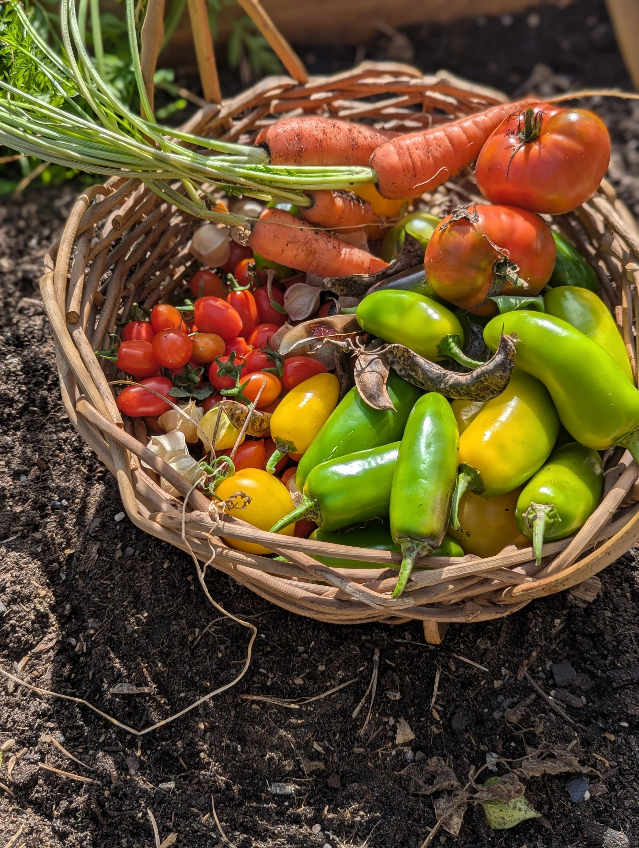 Existing Veggie Bed (Seasonal Refresh)