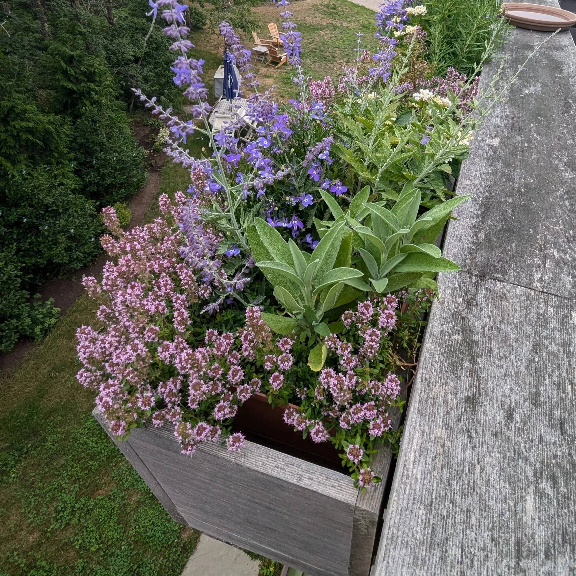 Potting &amp; Container Mix