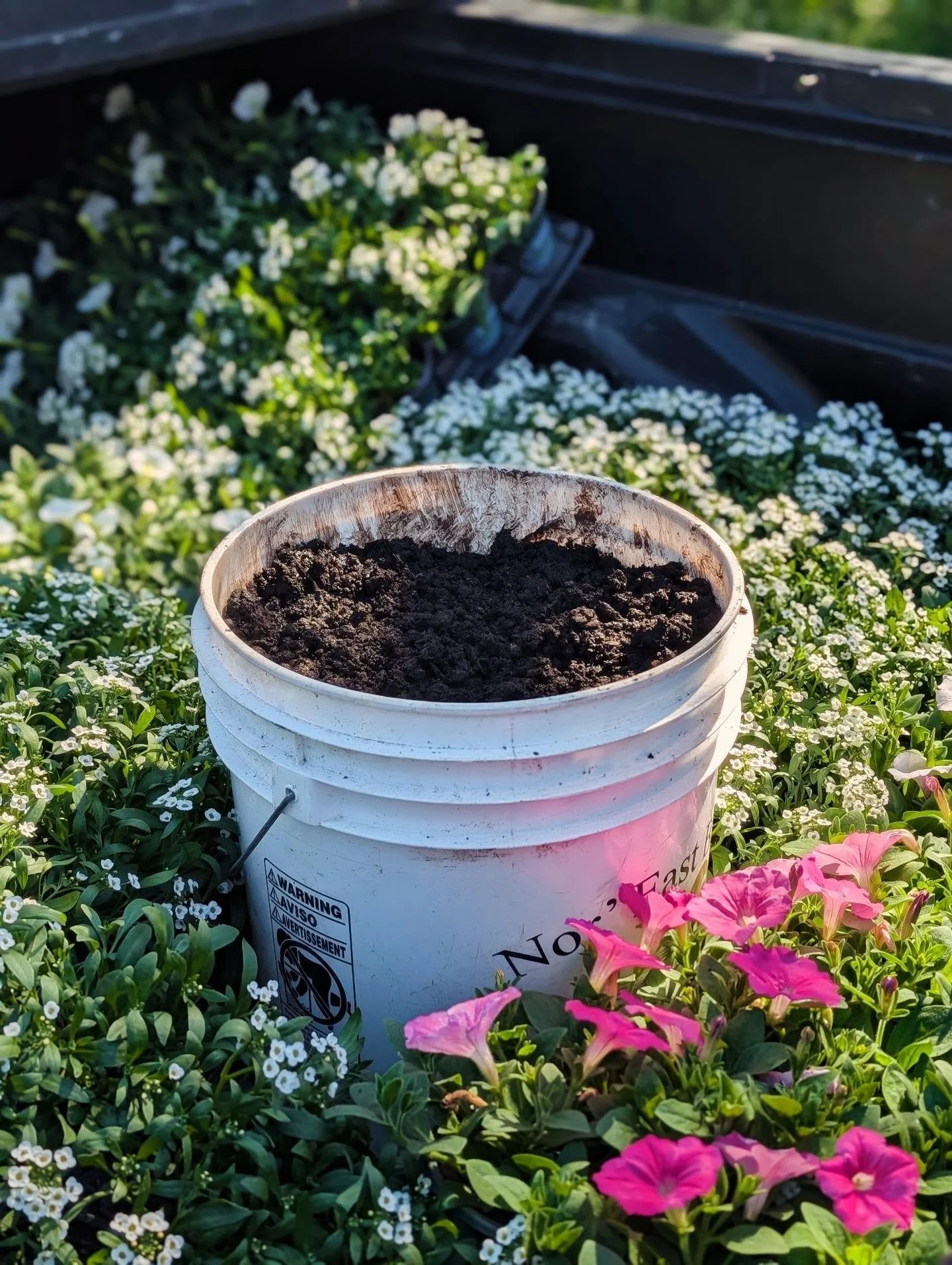 This morning's POV: Transforming Nantucket&lsquo;s spent blooms into lush compost and back again 🪄🌻🌸💐🌱🪱

The most beautiful cycle on the island! 

Reach out for your free sample and see what this soil magic can do for your garden, landscape or 