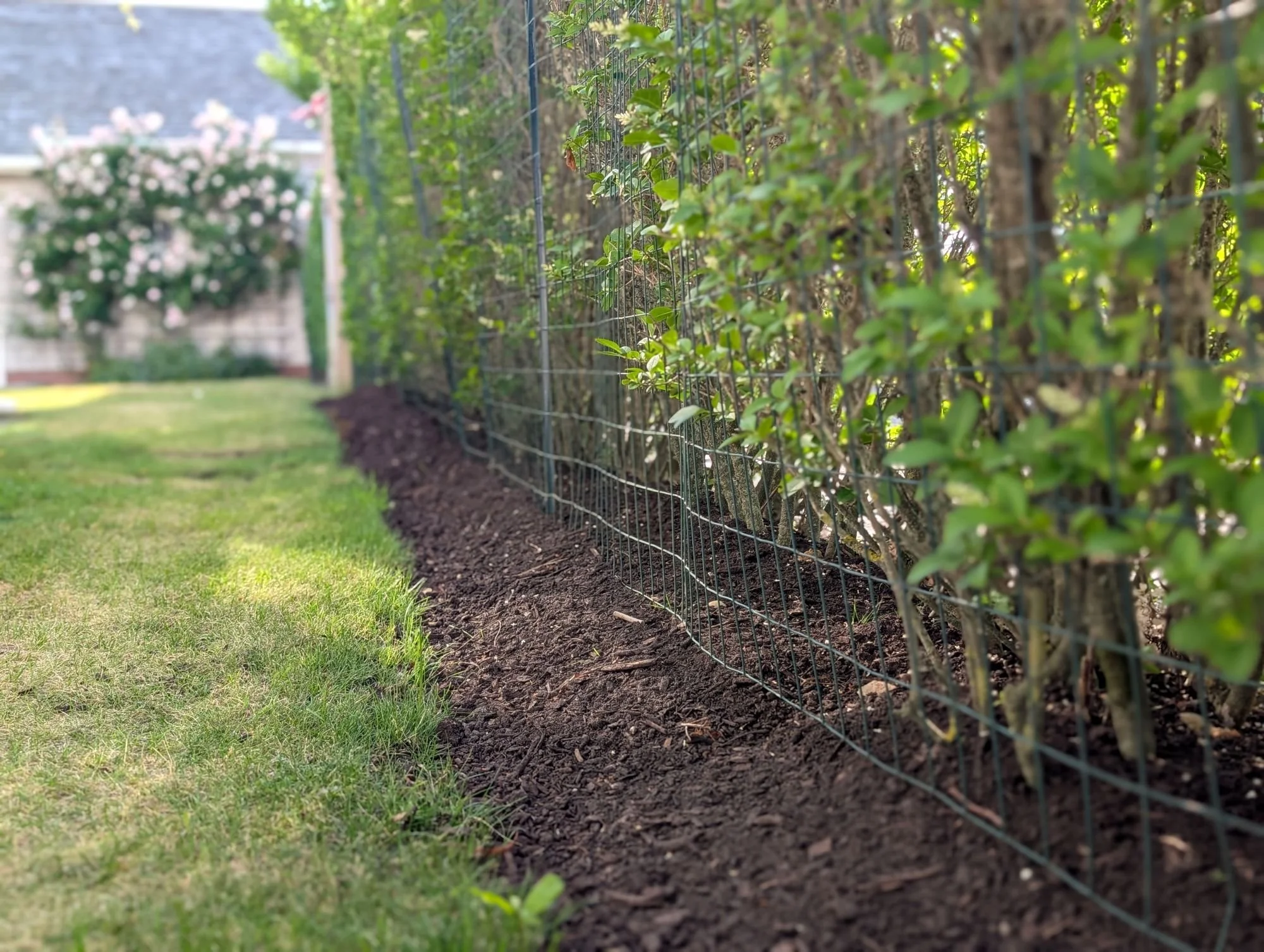Nantucket Gold™  vs. Mulch: What Actually Belongs on Your Beds This Winter