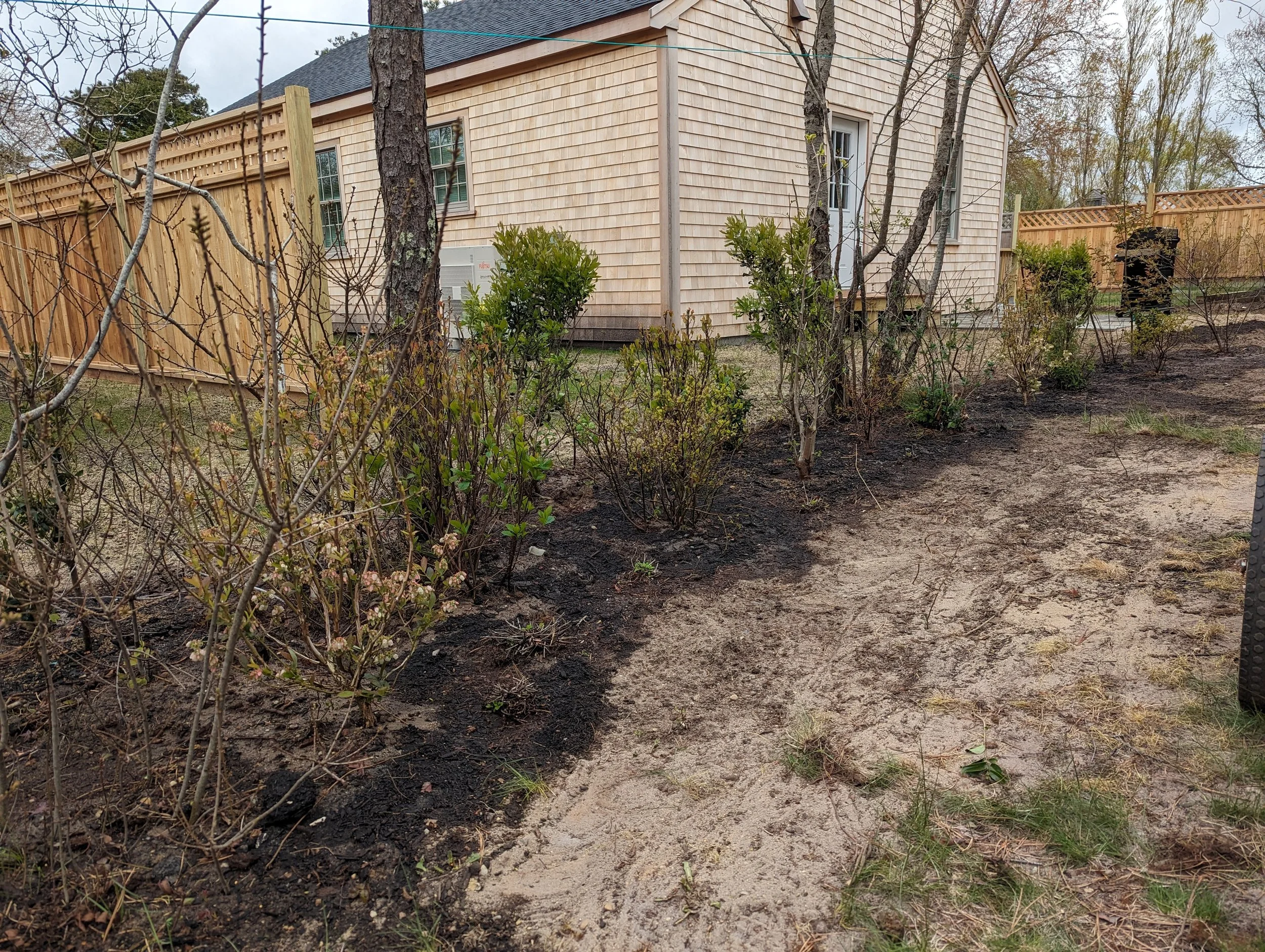 A backyard garden area with newly planted bushes, some with green leaves, along a dirt and sand pathway beside a wooden fence and a house with beige siding.