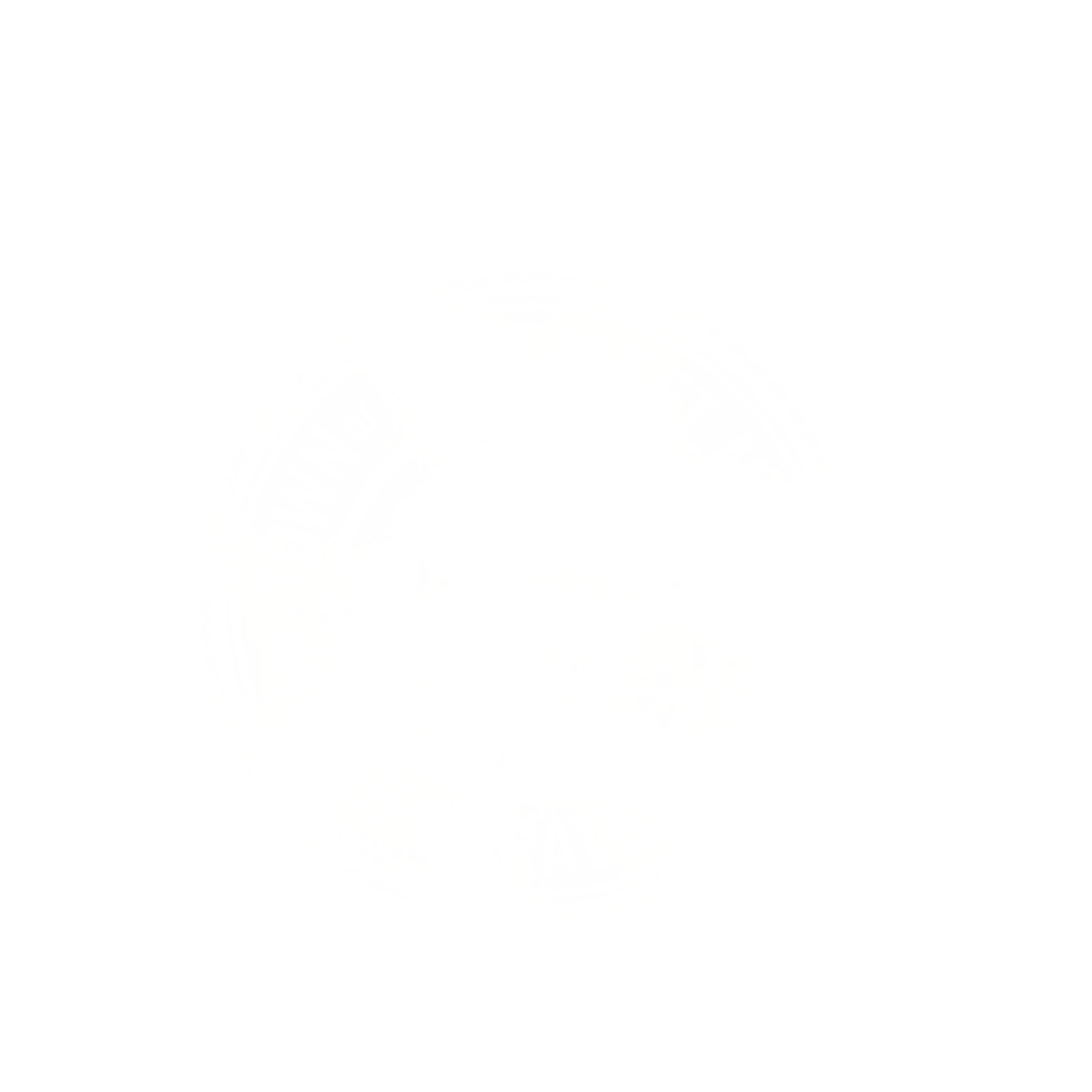 Close-up of a white, round lemon with a slightly textured skin.