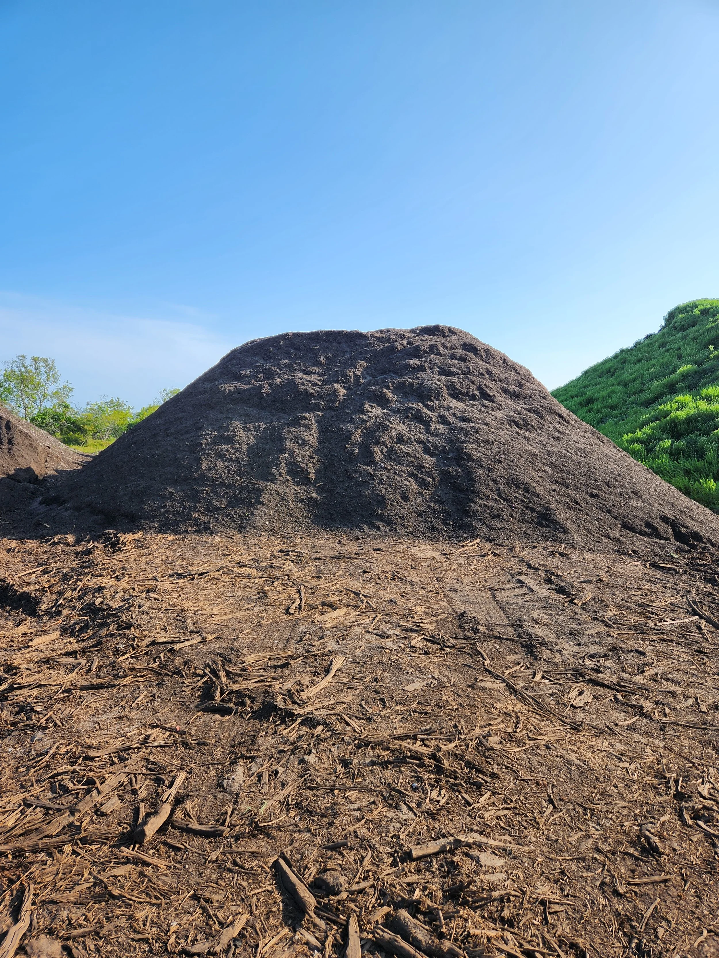 A mound of dark dirt or soil in an open area with a clear blue sky above and some green vegetation in the background.