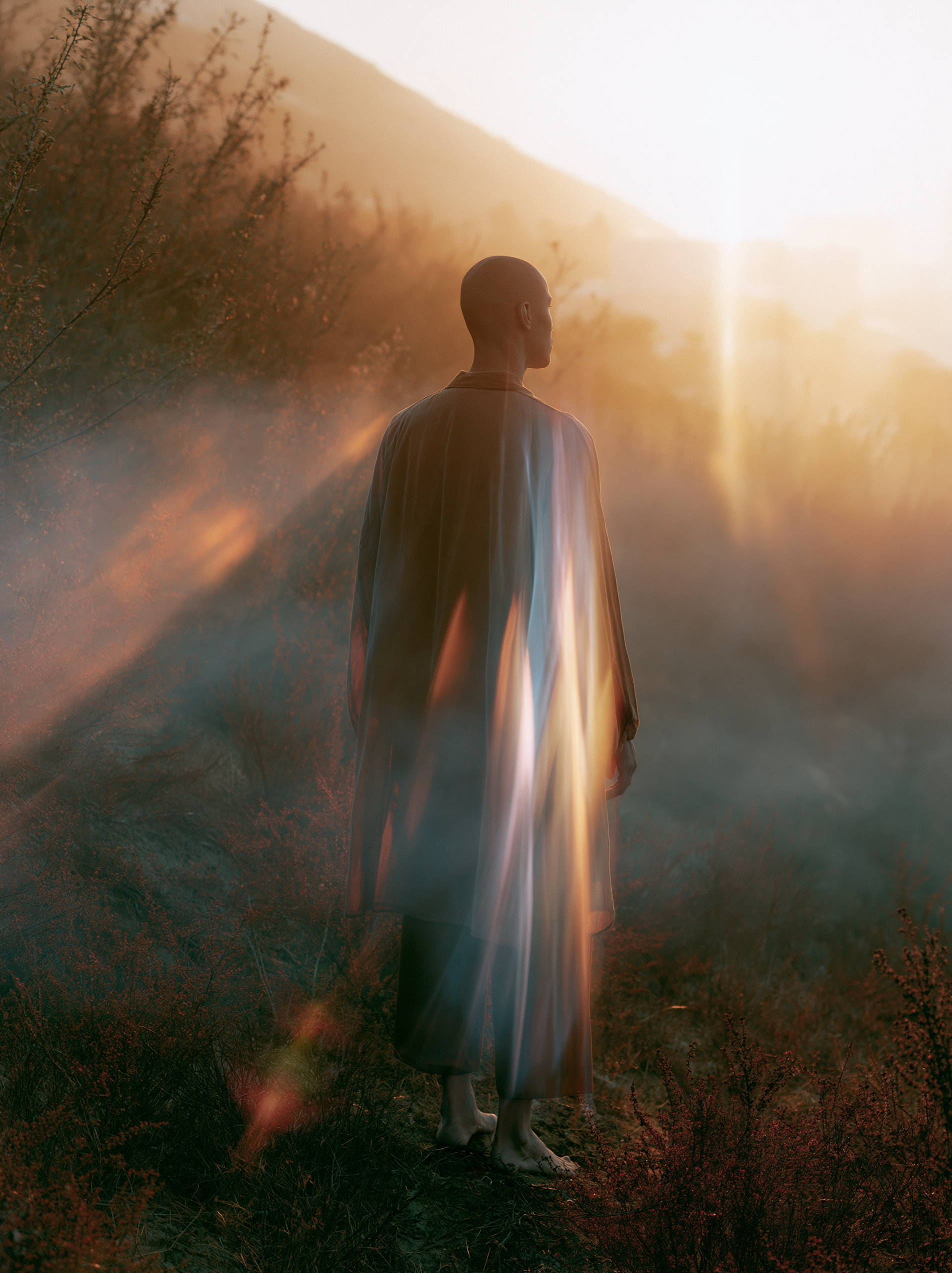 Cjsintic_A_serene_radiant_back_of_a_person_non_descript_gende_1a28beea-6522-4ad7-9be5-2fc183e870cf_2.png
