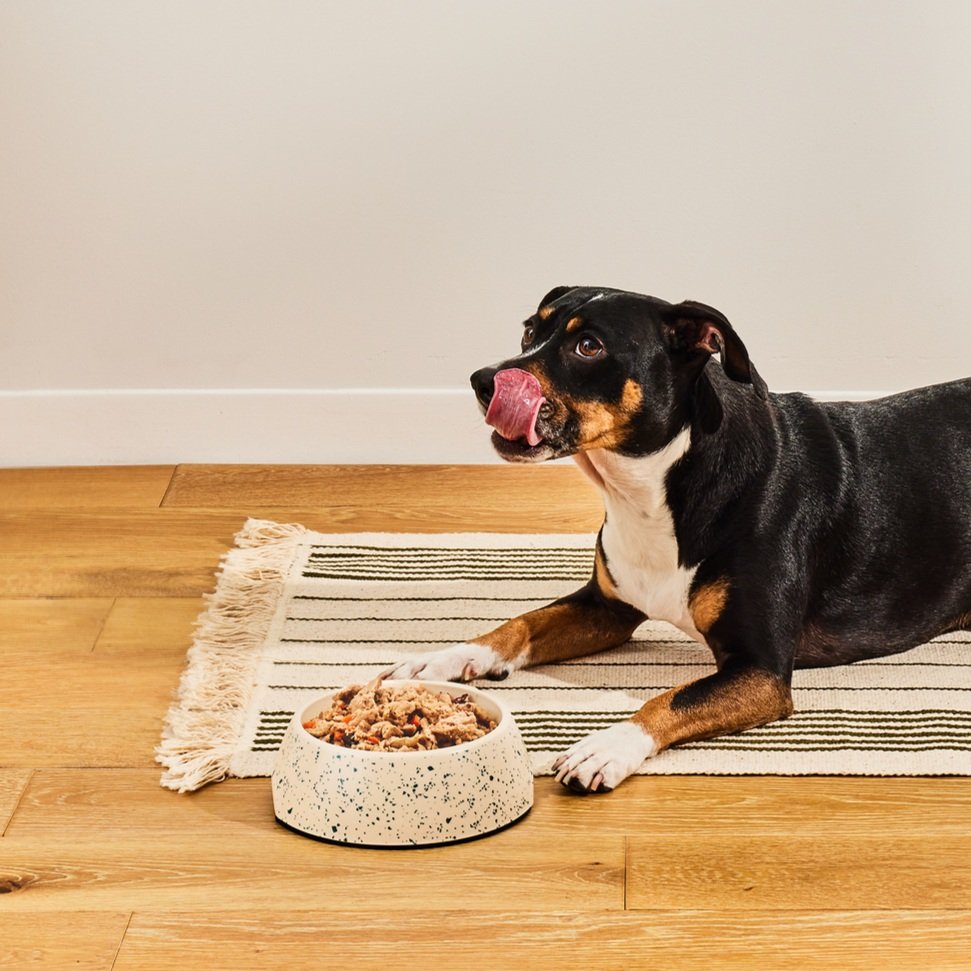 freshpet_041223_17242+%281%29+%287%29%400.5x.jpg