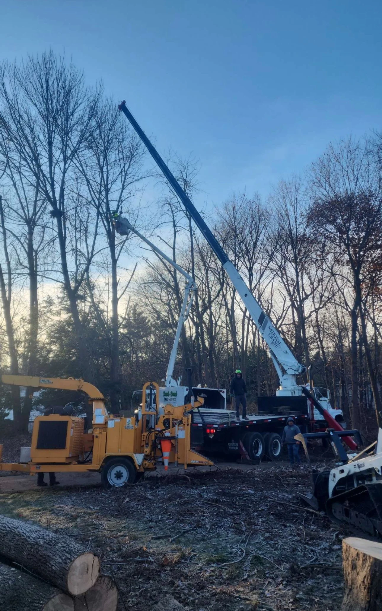 Tree removal operation involving cranes, a wood chipper, and workers in safety gear in a wooded area during daytime.