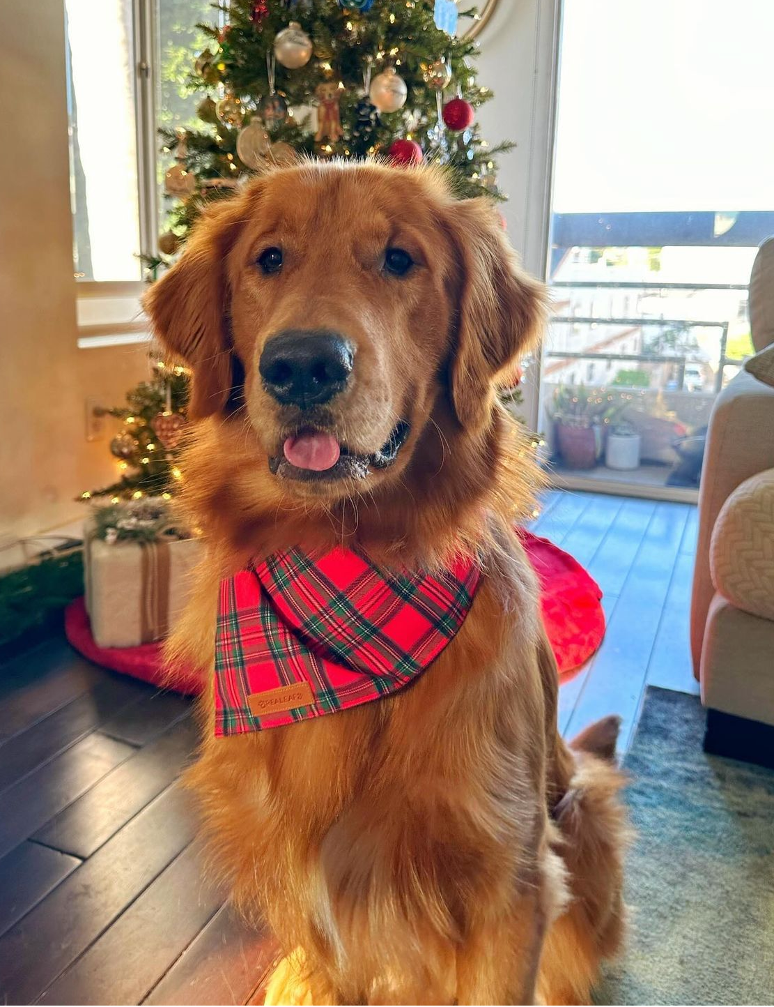 Screenshot 2024-03-23 at 9.57.01 PM.jpeg