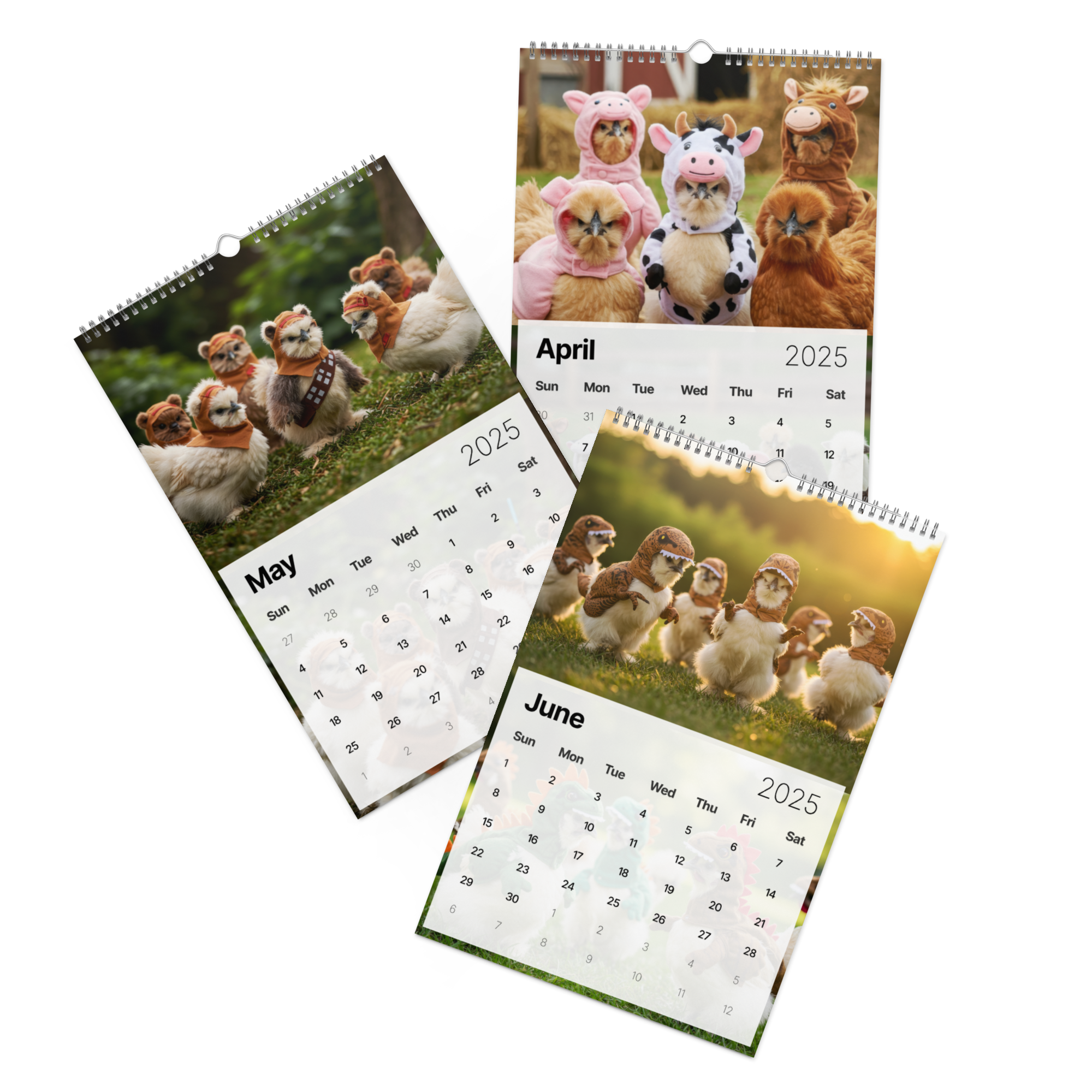 wall-calendar-(2025)-start-w-sun-11x17-front-2-6786901a3282c.png