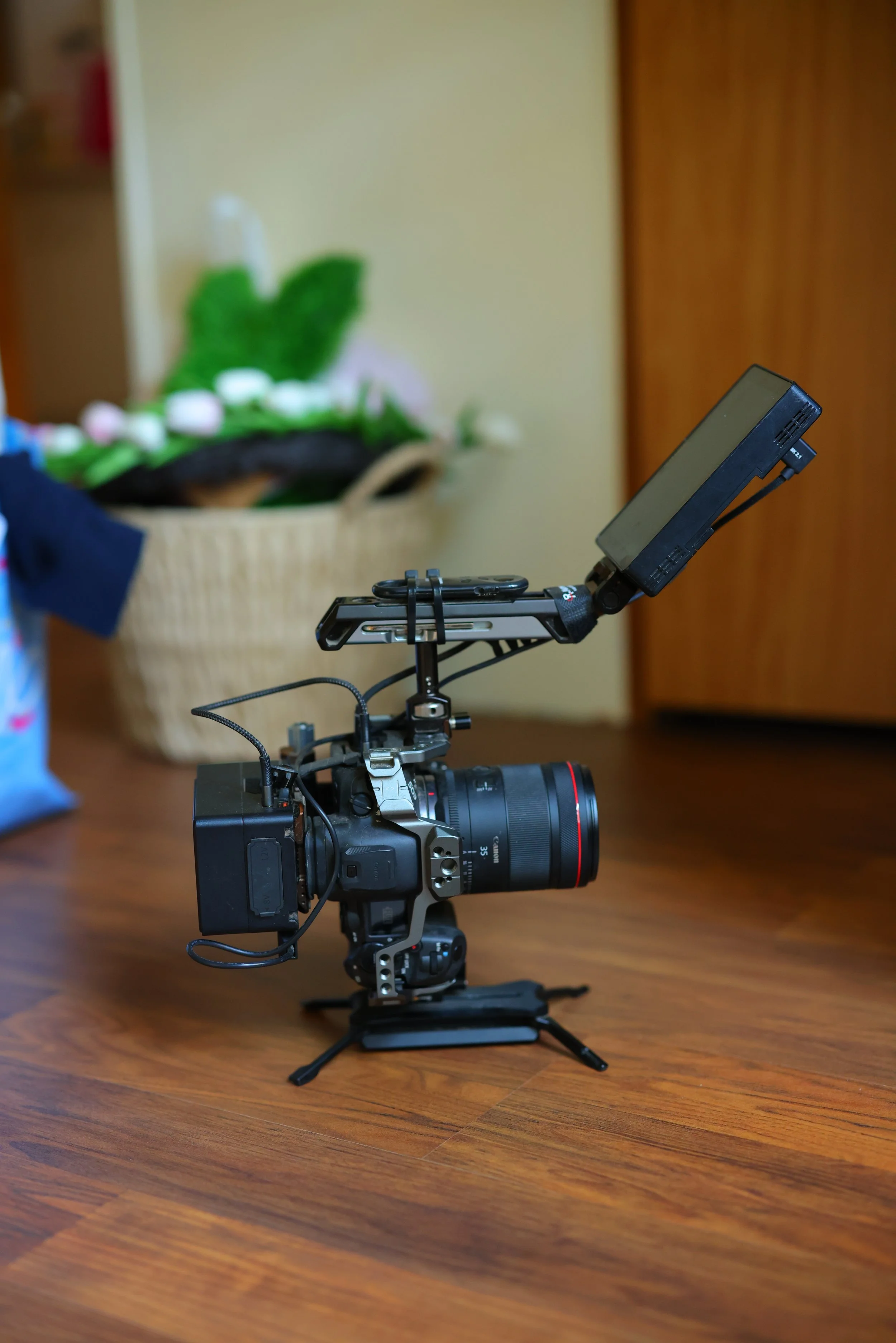 My Camera Rig for Filming Chickens