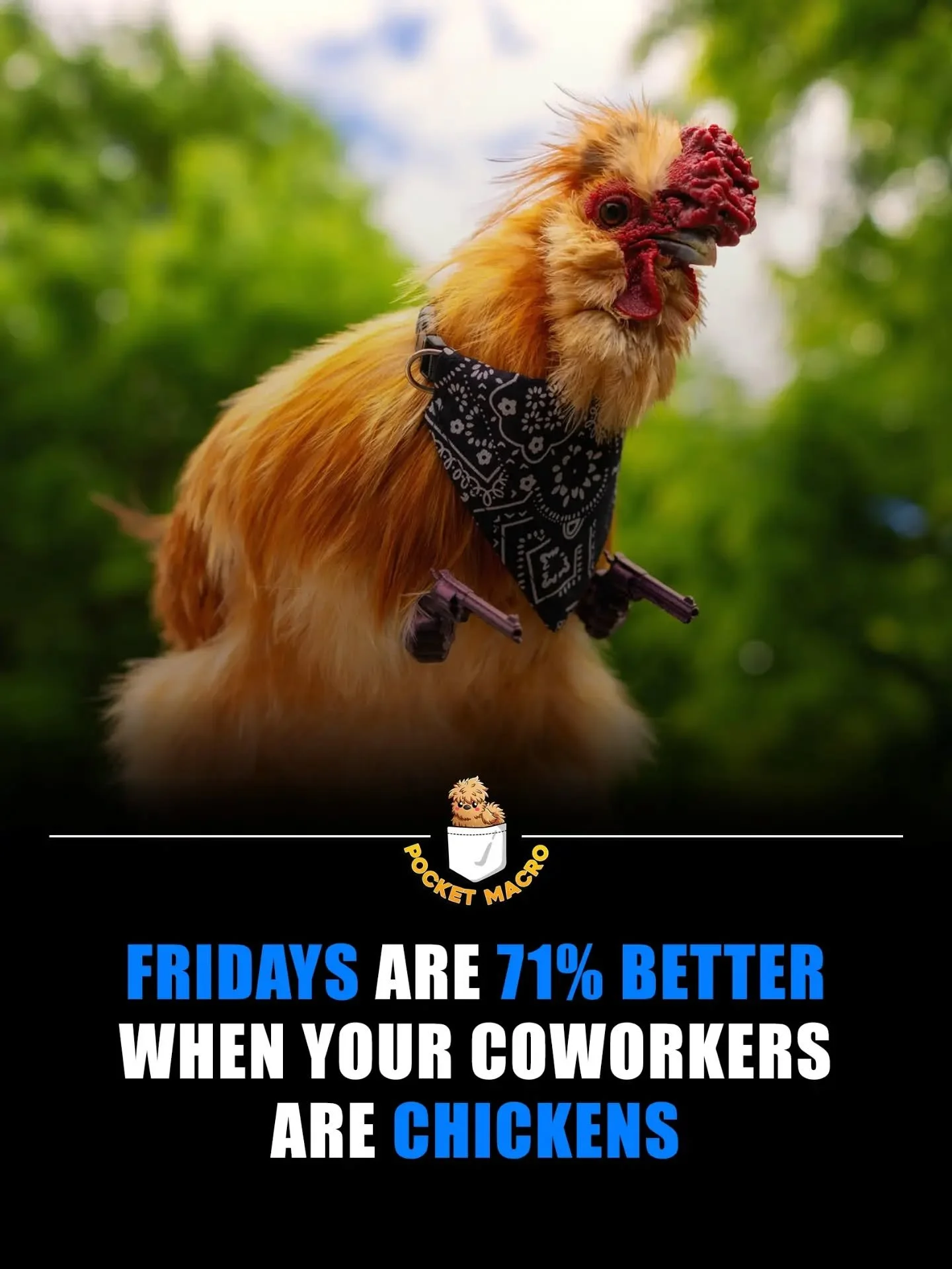 Happy Friday 🎉, here's fluffy Buttercup, he's a great coworker 🤣