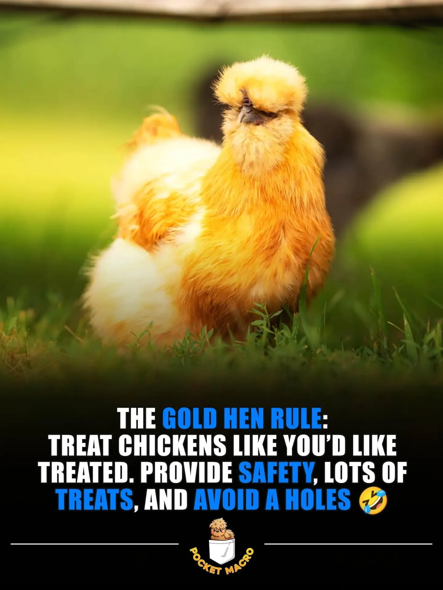 The gold hen rule 💛
