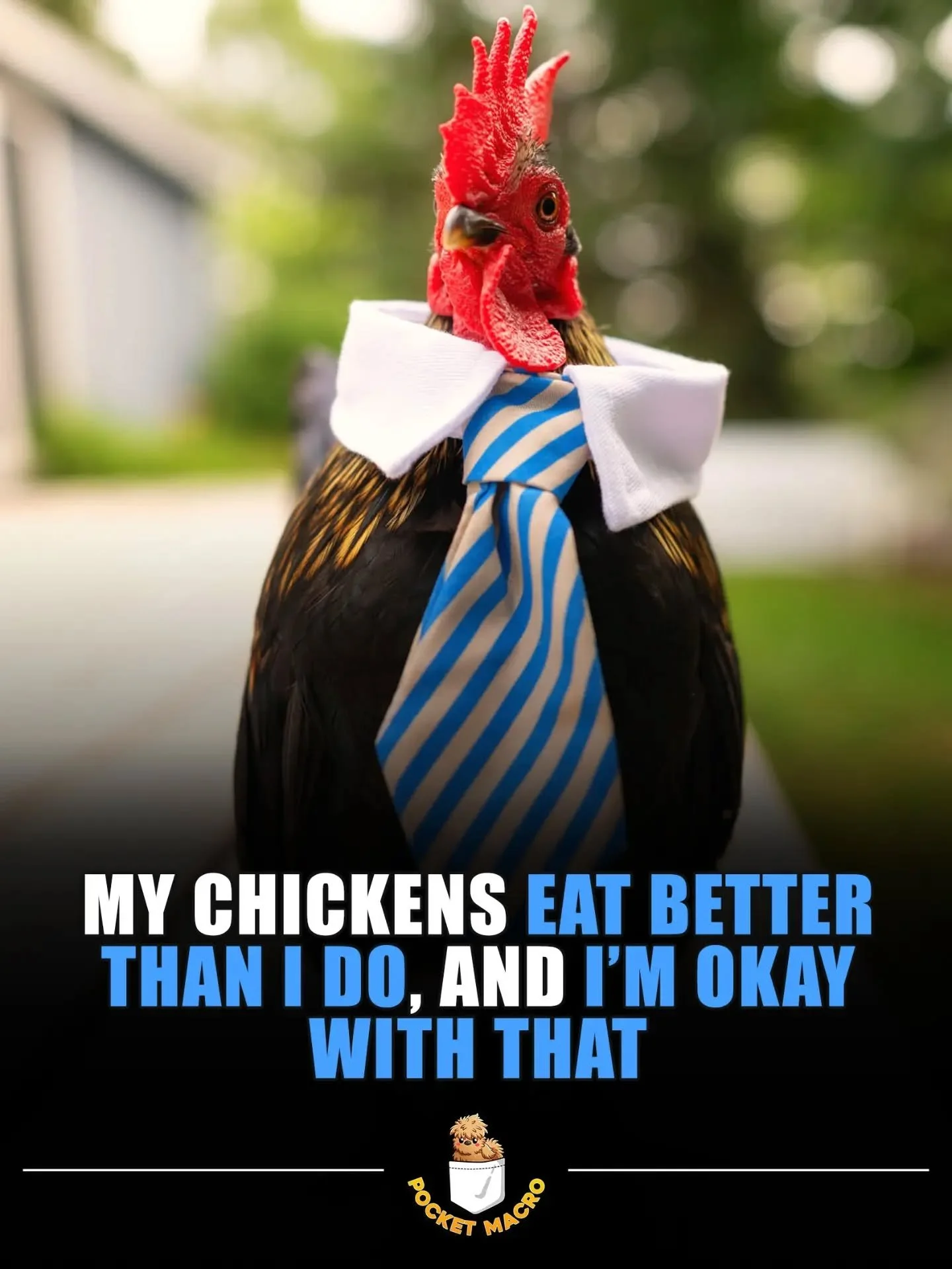 Dress for the job you want 🐔