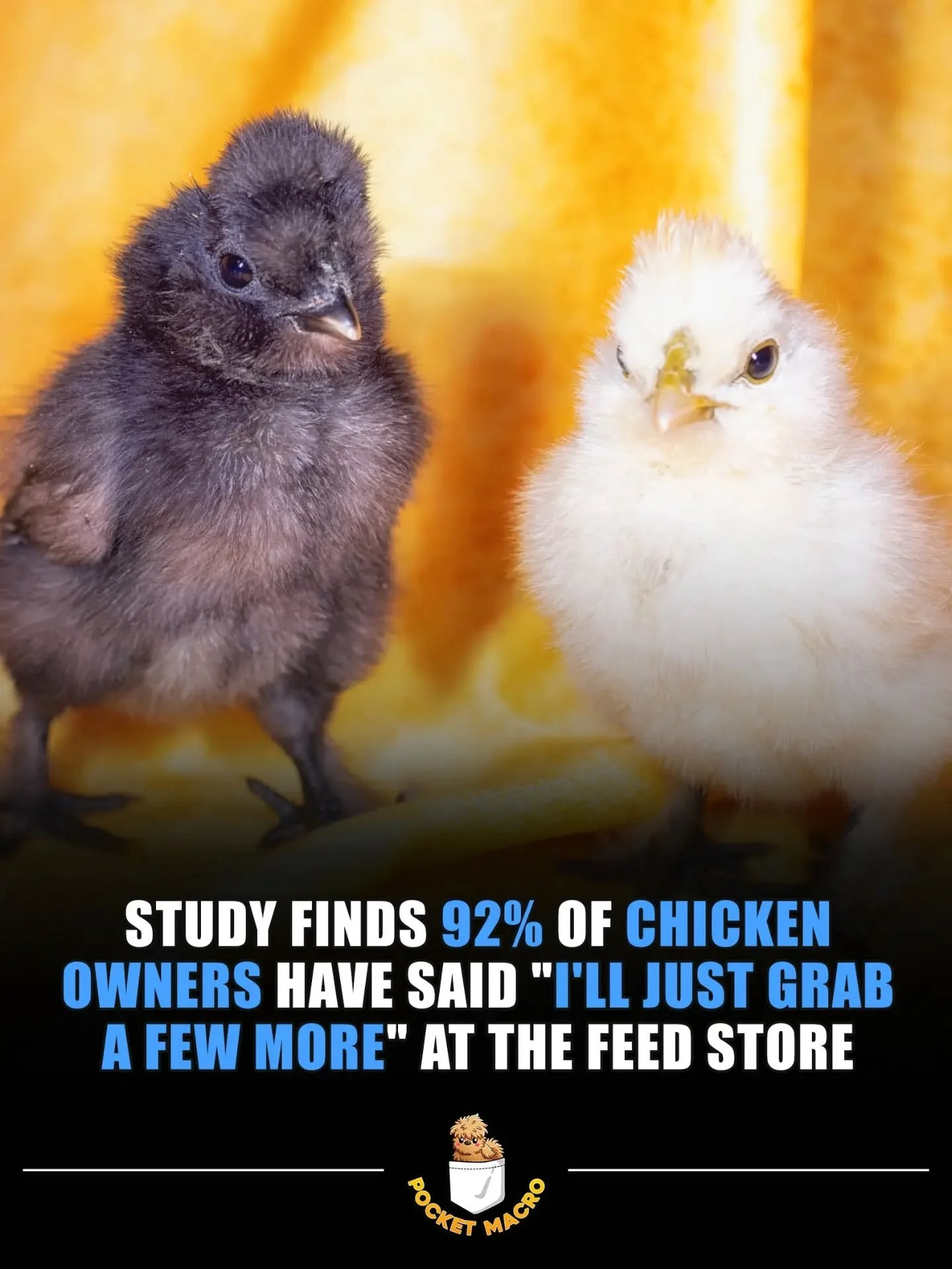 And a couple more is usually 6 or more 🤣🐣