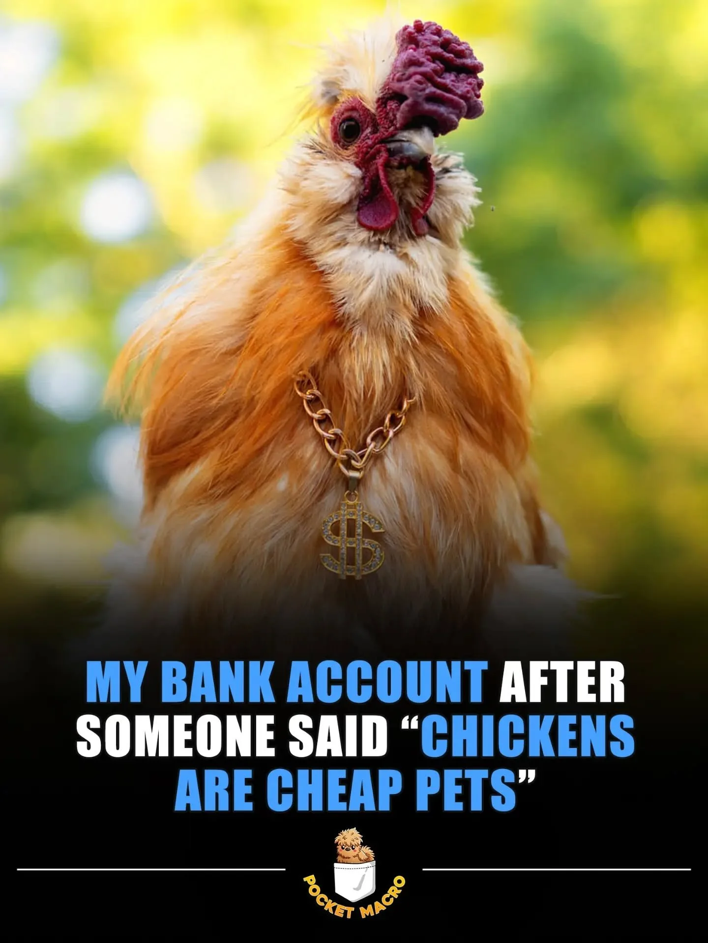 Buttercup has expensive taste, but he's worth it 🤣