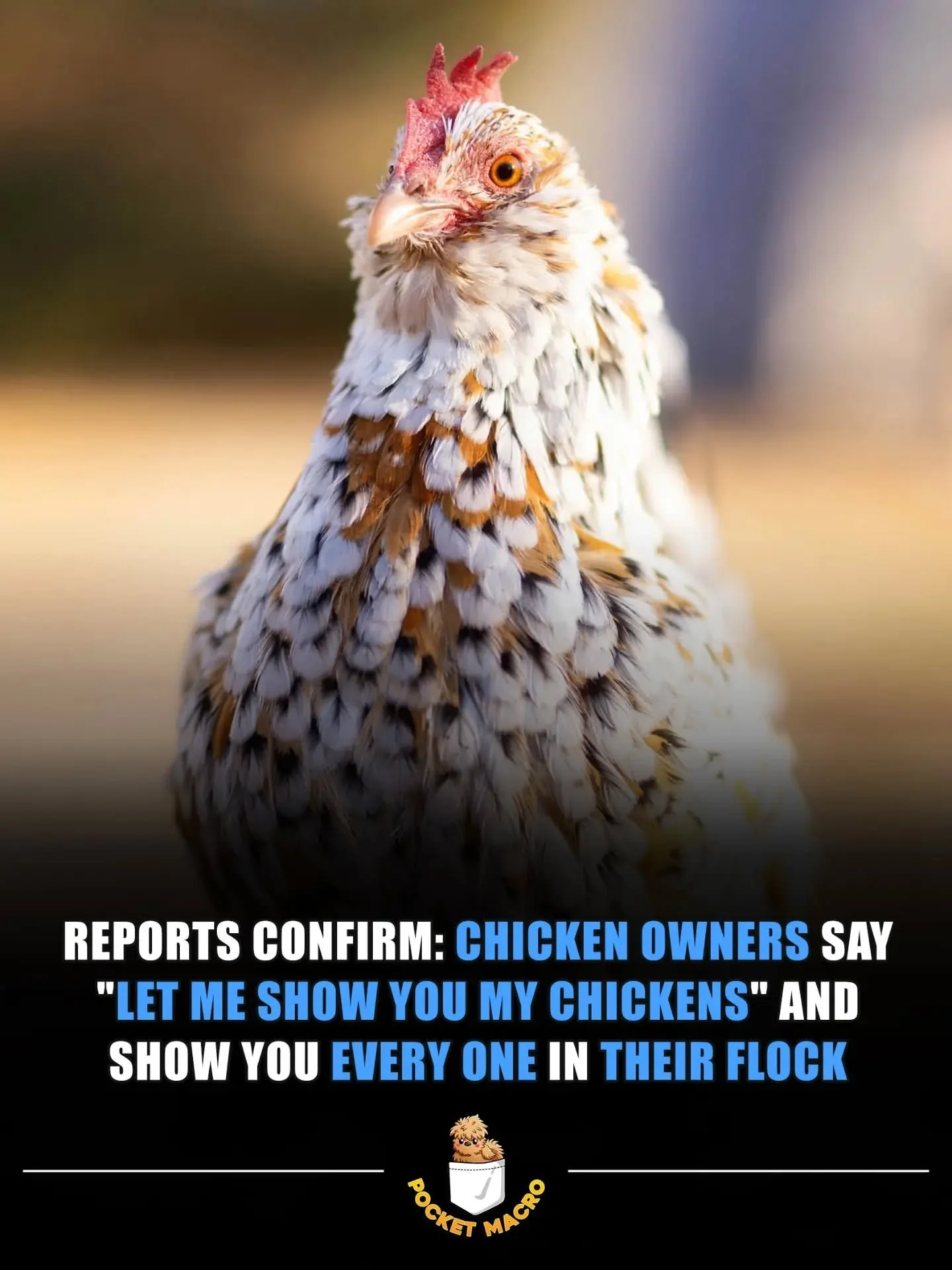 🤣 you get to see every chicken and learn their name