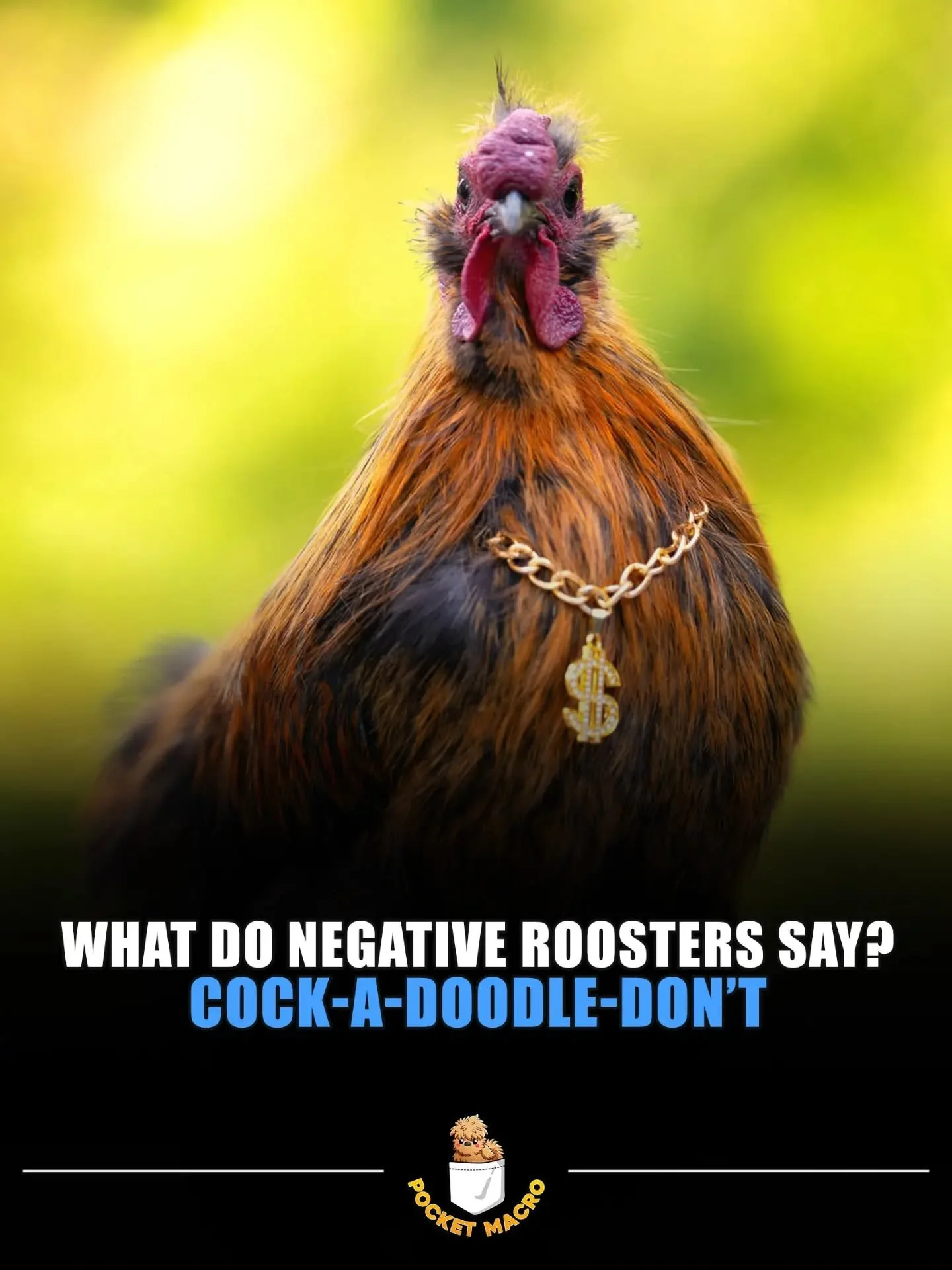 🤣 cock a doodle don't