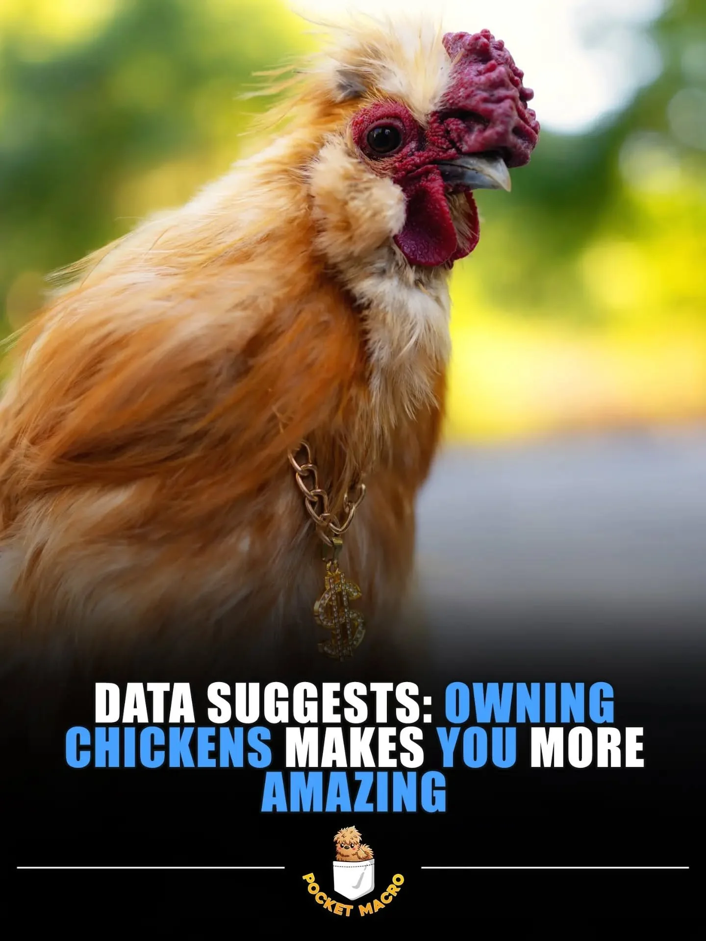 Be amazing with chickens 😎