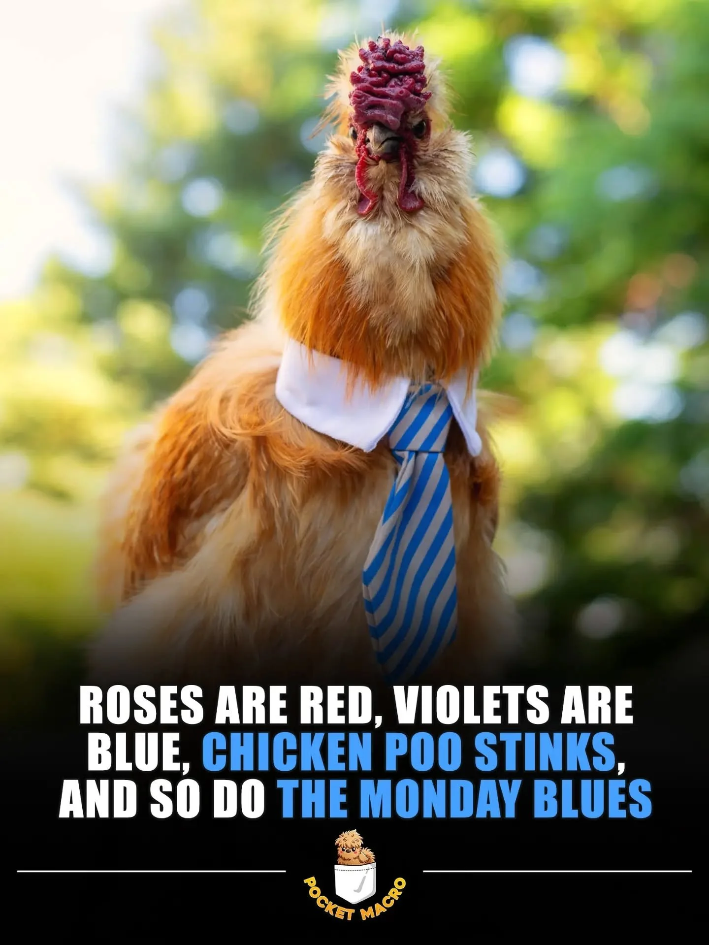Happy Monday 🤣, Buttercup is ready for work 💪