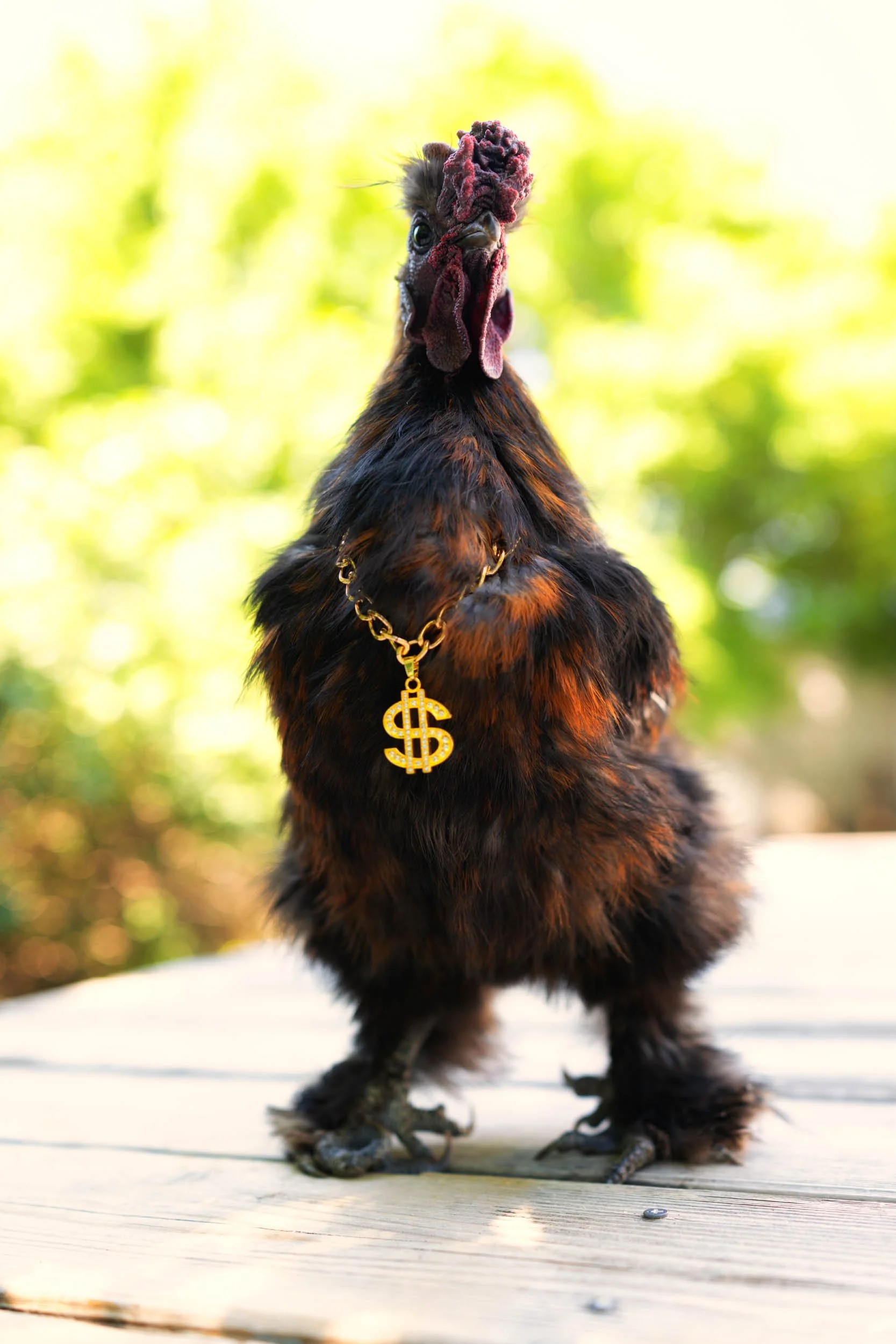 Chicken Bling Chain